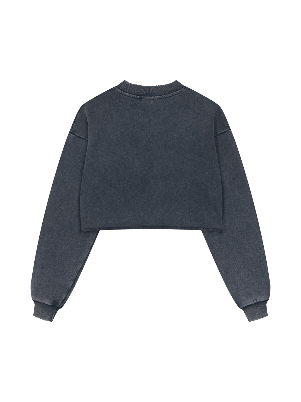Snow Washed Hand-Frayed Crop Top – Vintage Streetwear | Tapstitch-2