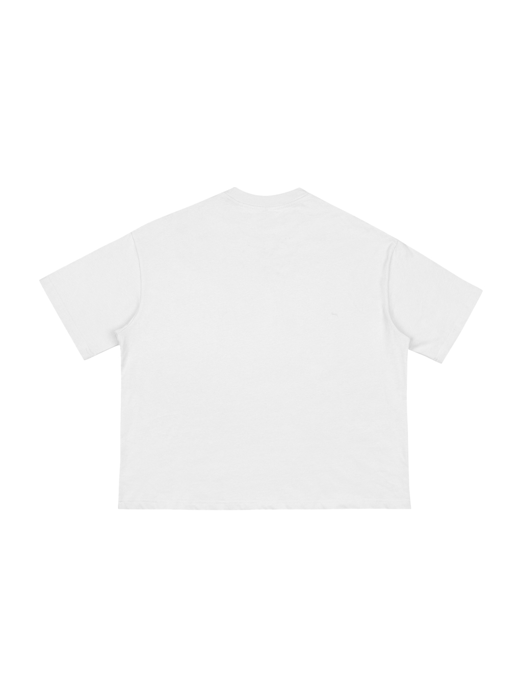 Classic Boxy T-Shirt – Custom Basics | Tapstitch-2