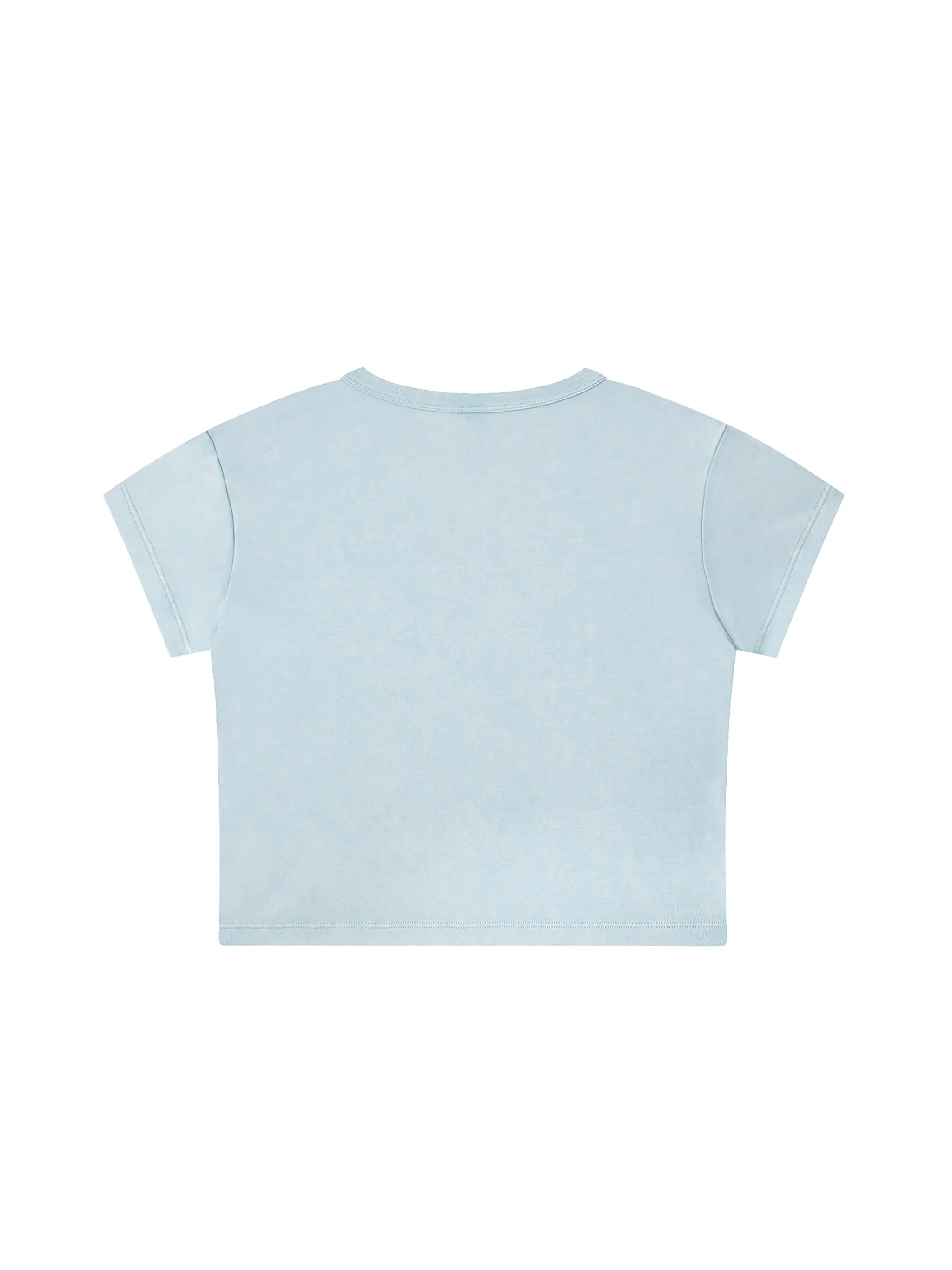 Snow Washed Crop Top