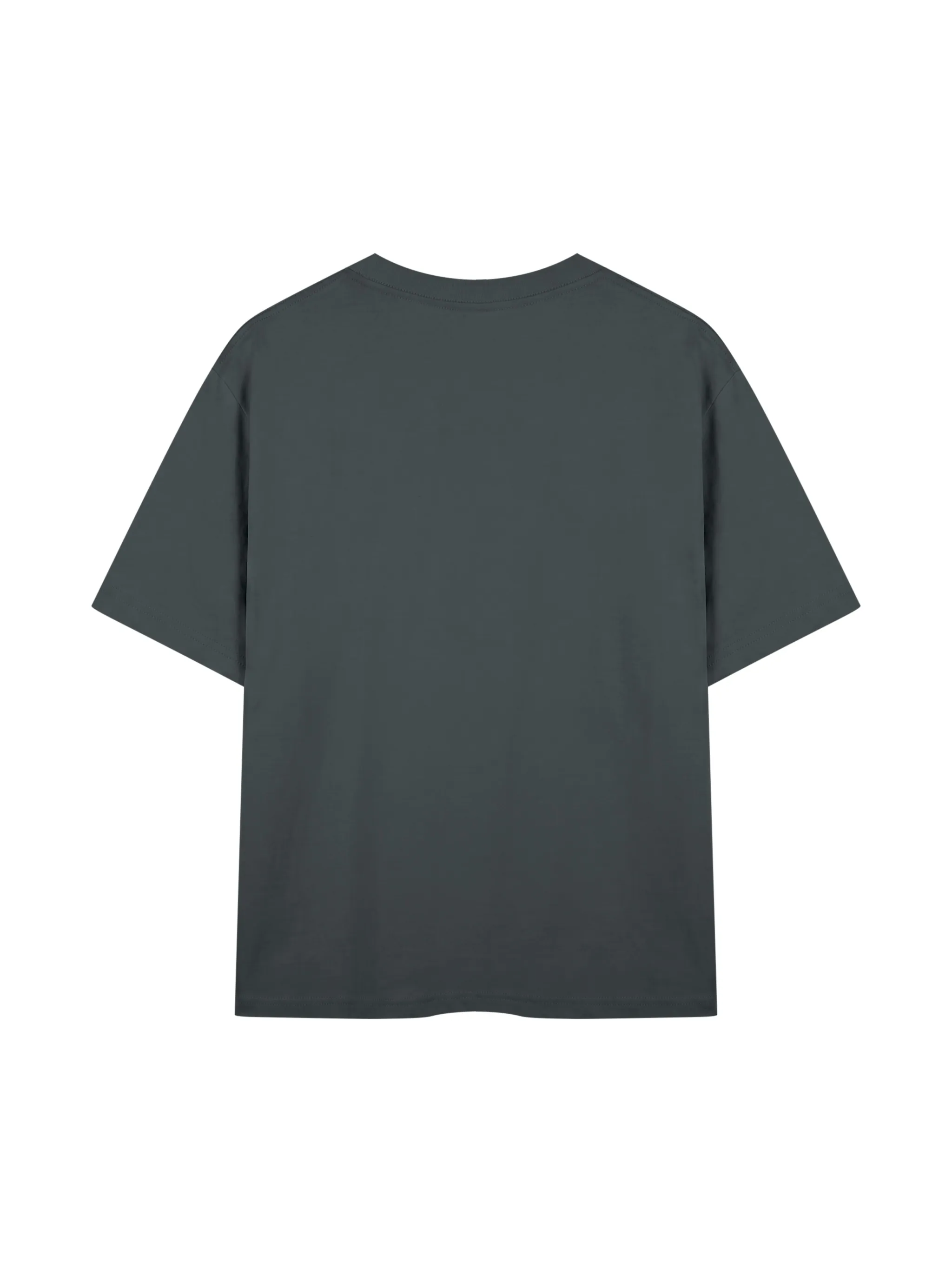 Unisex Mid-Weight Cotton T-Shirt