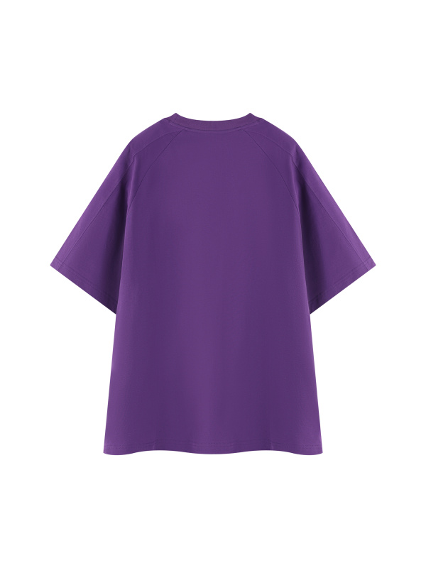 Unisex Contrast Panel Raglan T-Shirt
