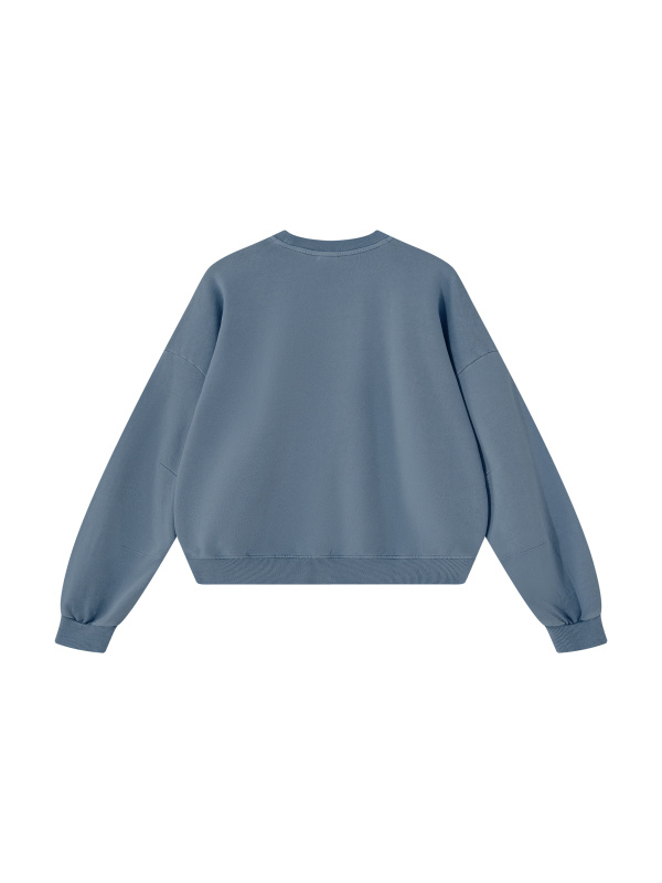 Unisex Boxy Vintage Washed Sweatshirt