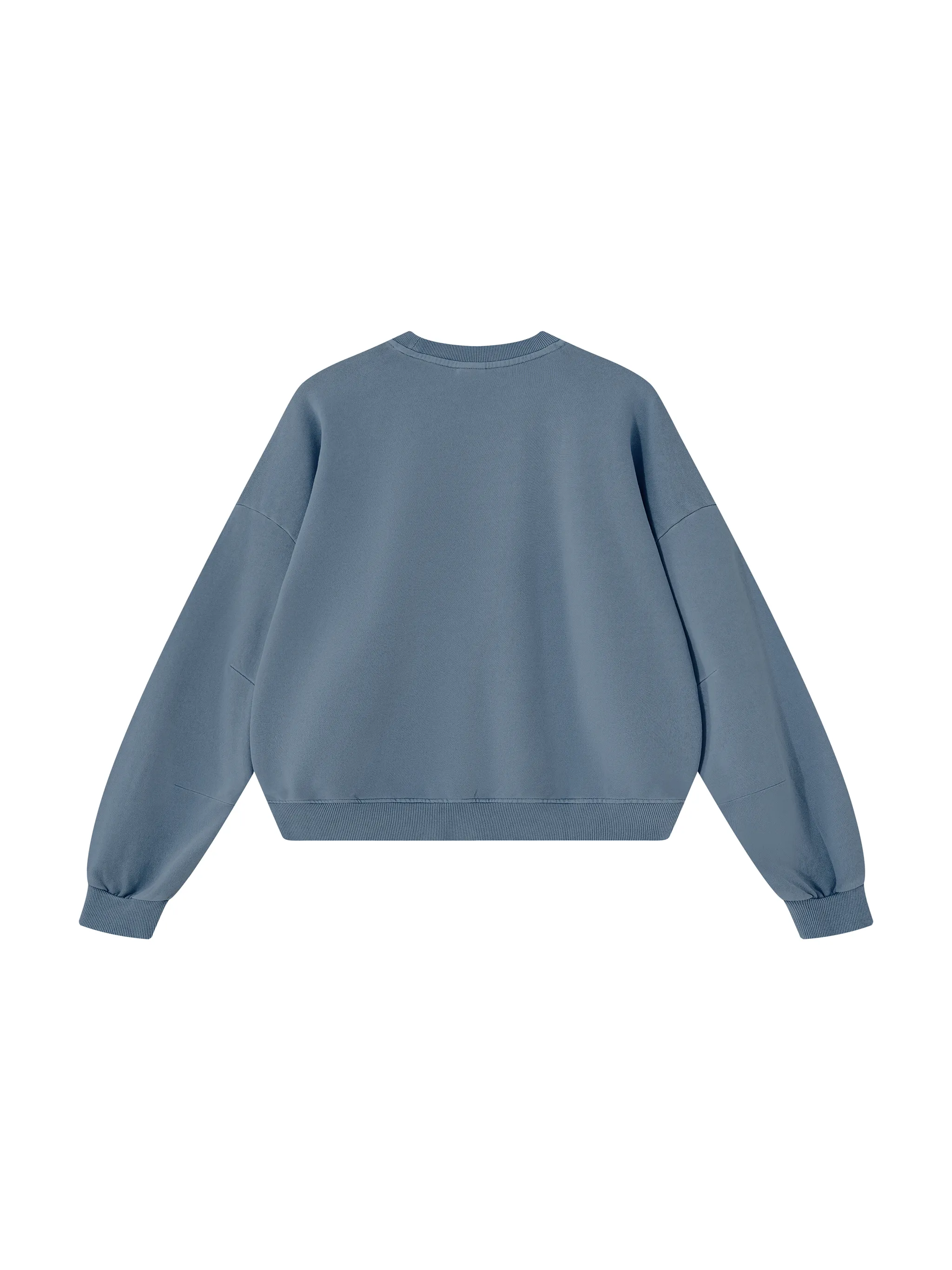 Unisex Boxy Vintage Washed Sweatshirt