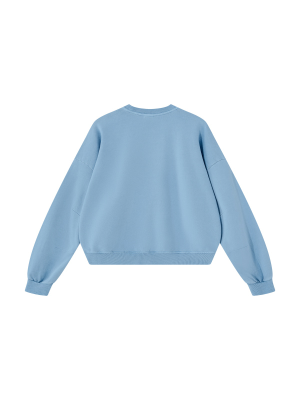 Unisex Boxy Vintage Washed Sweatshirt