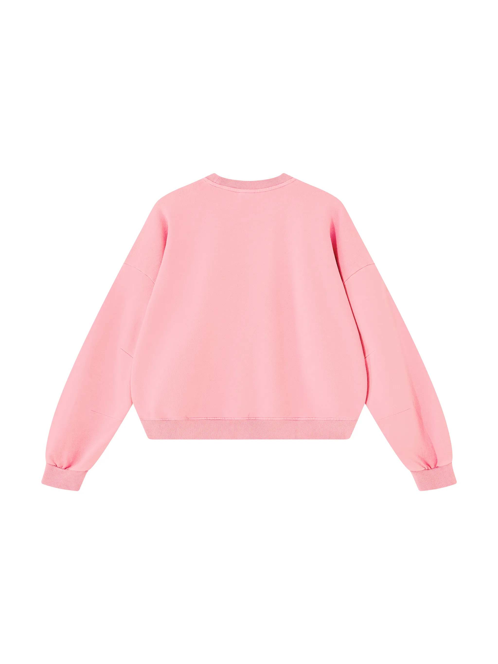 Unisex Boxy Vintage Washed Sweatshirt