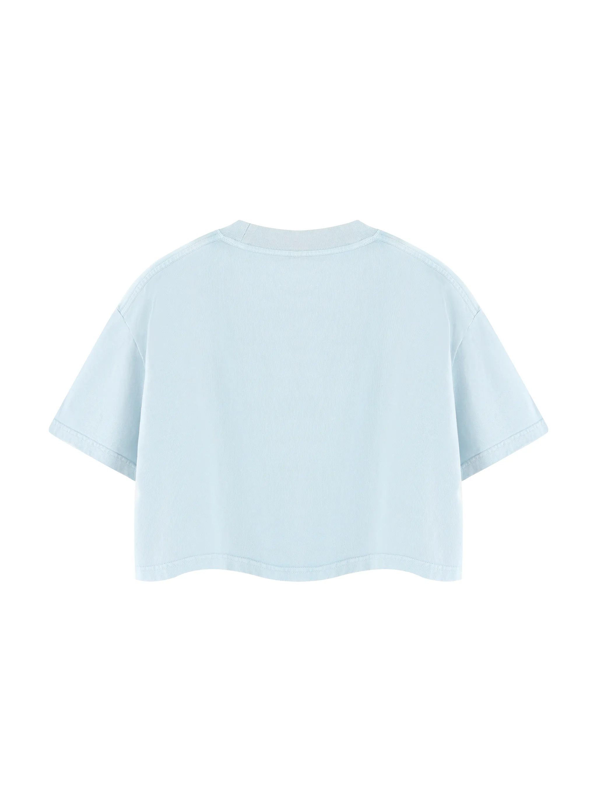 Women's Mineral Wash Cotton Crop T-Shirt