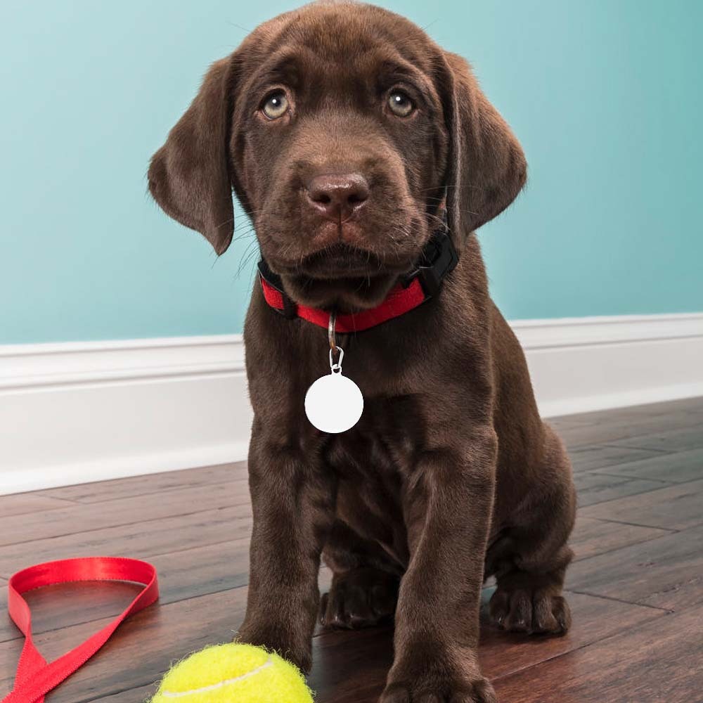 Print On Demand All-Over Print Pet ID Tags | HugePOD-5