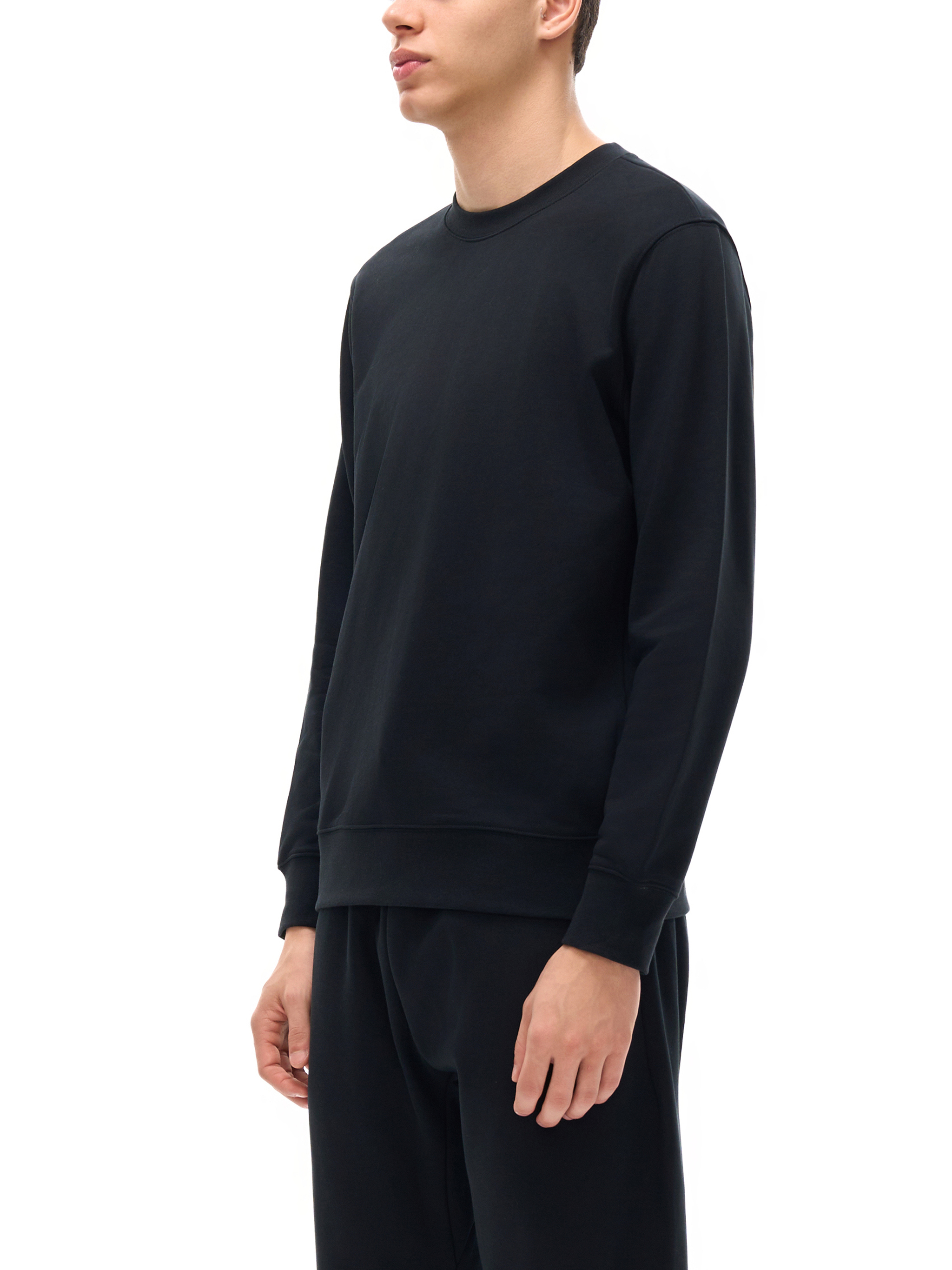 Essential Heavyweight Crewneck Sweatshirt #RW0003 | TAPSTITCH