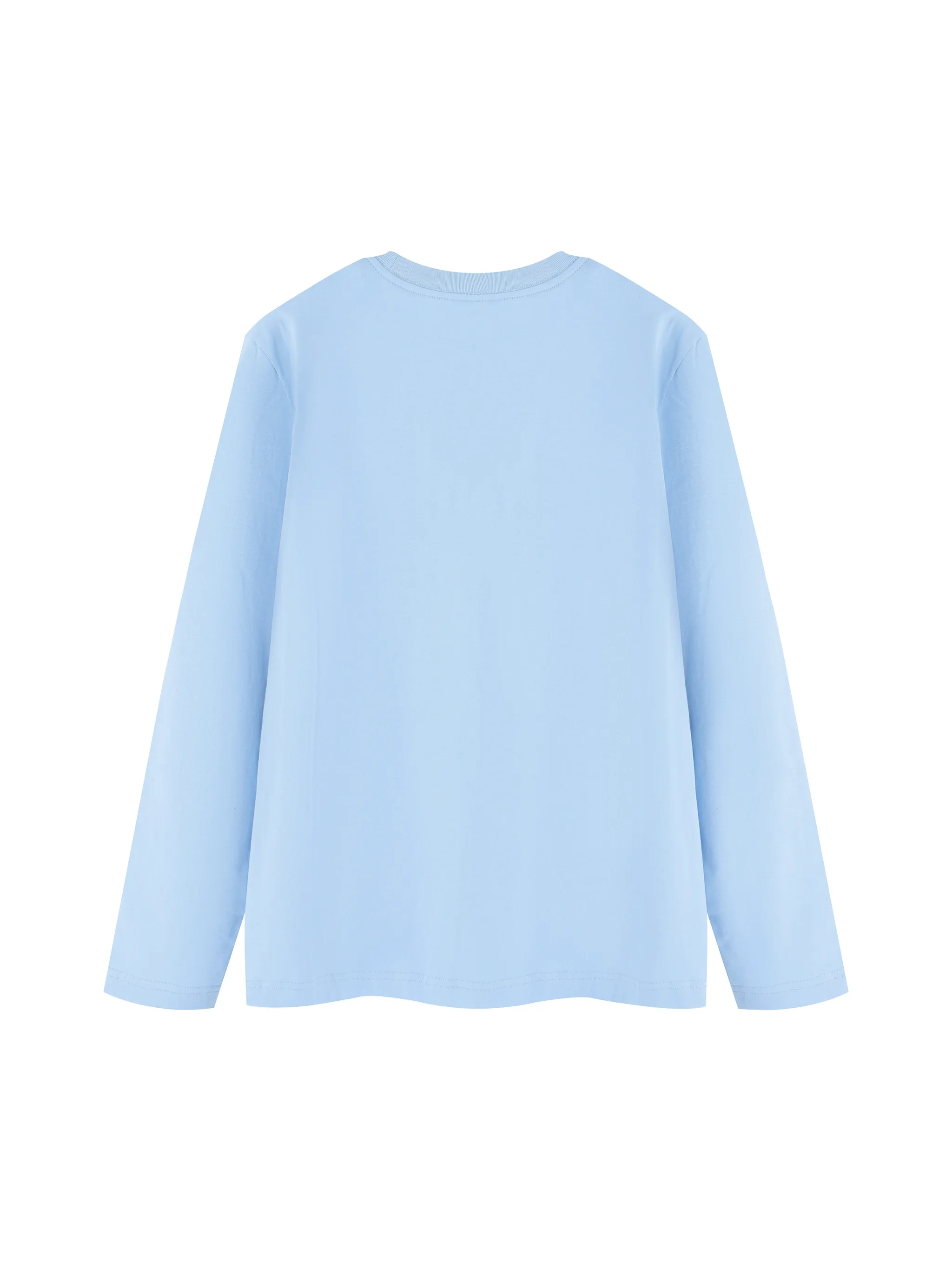 Unisex Heavyweight Long Sleeve T-Shirt