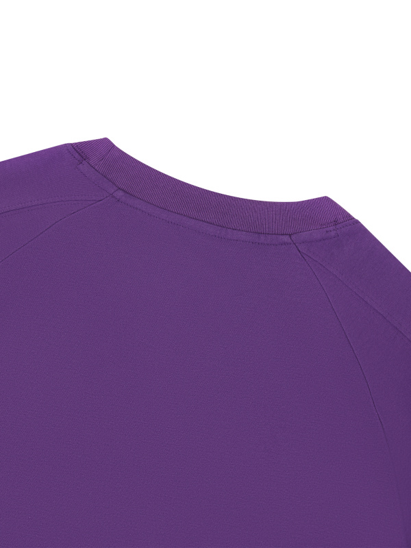 Unisex Contrast Panel Raglan T-Shirt