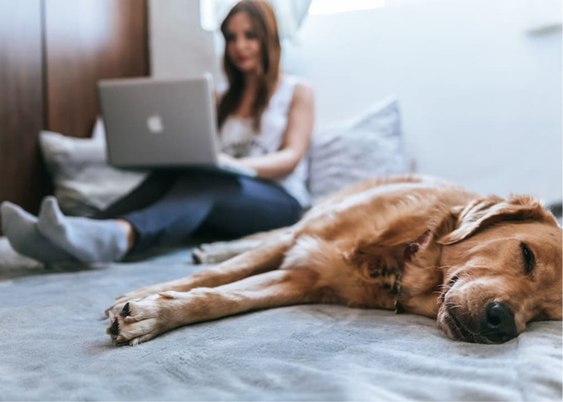 woman running an online business from home